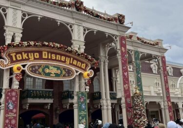 激混みクリスマスディズニーヤバすぎ！久々に東京を満喫してきた🗼